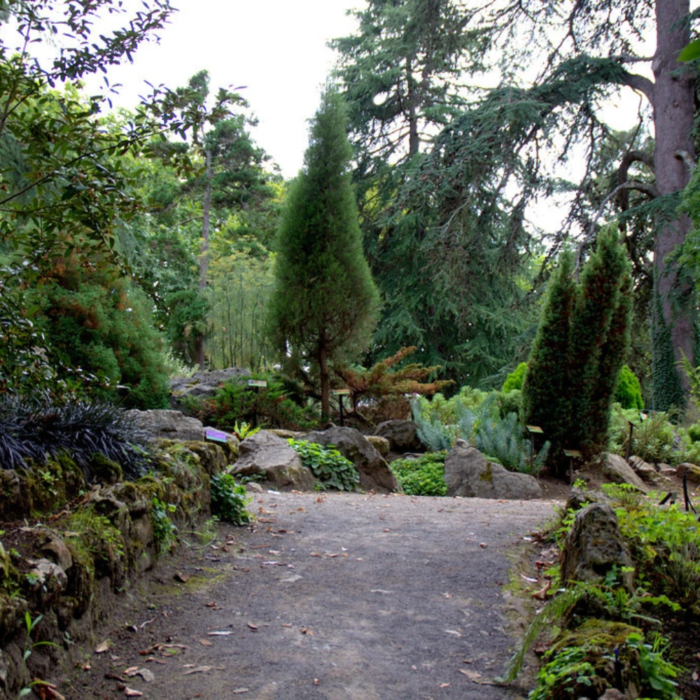 jardin-botanico-de-gijon